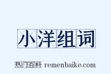 小洋组词是什么意思的图片